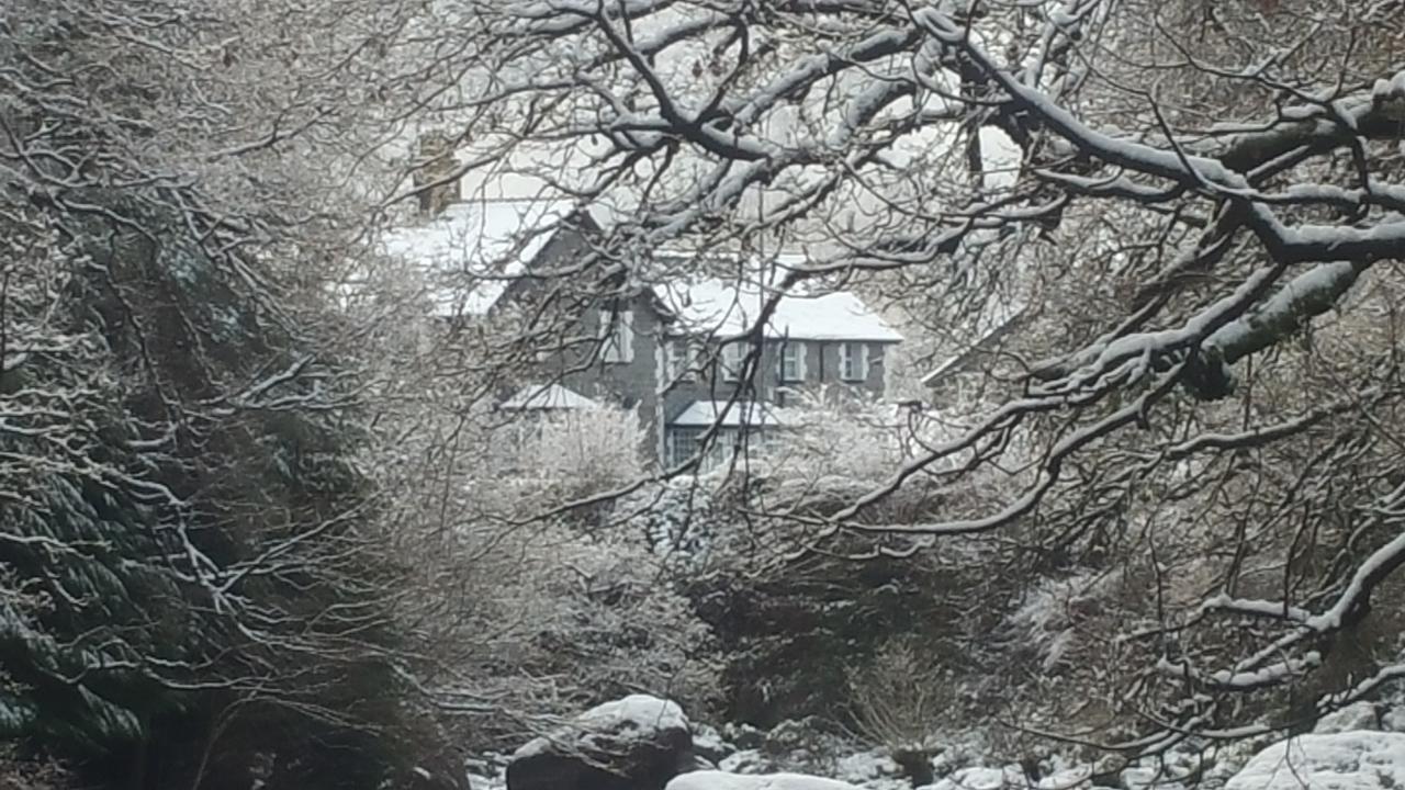 بيتوَس واي كود Oakfield Guest House المظهر الخارجي الصورة